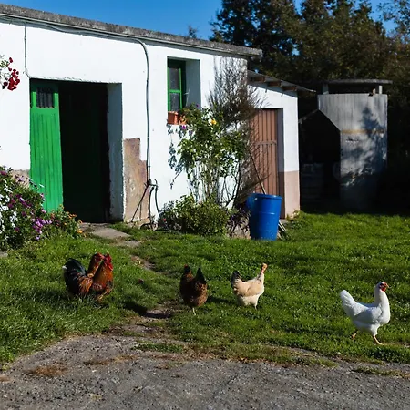 Fuenternilla Venkovský dům Carranza